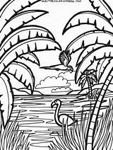 Coloring Pages Fun Flamingo Adults Printable Jungle Sheets Odell Beckham Jr Drawing Colouring Printables Downloadable Cartoon Adult Rainforest Kids Animal sketch template