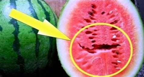 notice splits   watermelon  throw