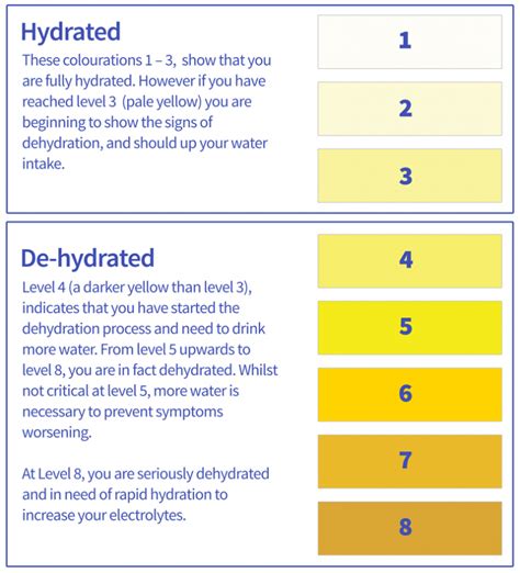 time to talk about the colour of your pee hydratem8