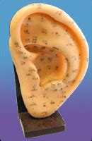 ear acu international supplies