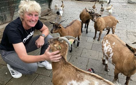 drijvende kracht dierenweide oldehove zwaait na  jaar af liefde die je dieren geeft krijg