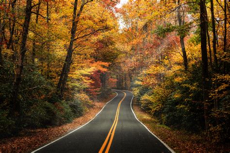 the best new england fall foliage tours worth your money new england