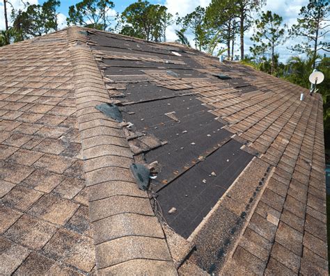 determine water damage   roof leak