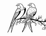 Uccelli Pajaros Colorir Pájaros Oiseaux Coppia Ocells Dibuix Passaros Passaro Coloriage Parella Paire Ausmalbilder Desenhos Vogel Dibuixos Acolore Stampare sketch template