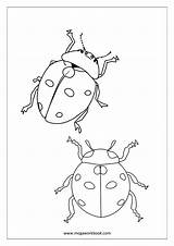 Coloring Pages Insects Animals Birds Animal Megaworkbook Sea Bug Lady sketch template