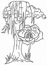 Coloring Pages Swamp Alaska Great Commission Louisiana Miss Printable Resources Natural Nelson Missing Color Getcolorings Seniors Print Flower Colouring Wildlife sketch template