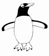 Penguin Drawing Outline Step Emperor Penguins Printable Pages Getdrawings Pengin Book Birds Two Creation Print Create Samanthasbell sketch template