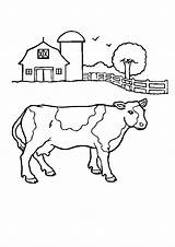 Coloring Farm Pages Cow Farmer Scene Scenes Drawing Barnyard Farming Crime Sketch Clipart Animals Library Dairy Village Back House Rough sketch template