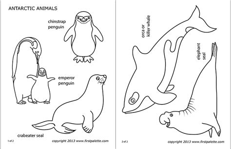 antarctic polar animals  printable templates coloring pages