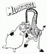 Madagascar Colorir Kleurplaat Imprimir Kleurplaten Ausmalbilder Mewarnai Coloriages Malvorlage Bergerak Animierte Disneymalvorlagen Disneydibujos Marty Marcadores Animaatjes Ausmalbild Animate Stemmen Stimmen sketch template