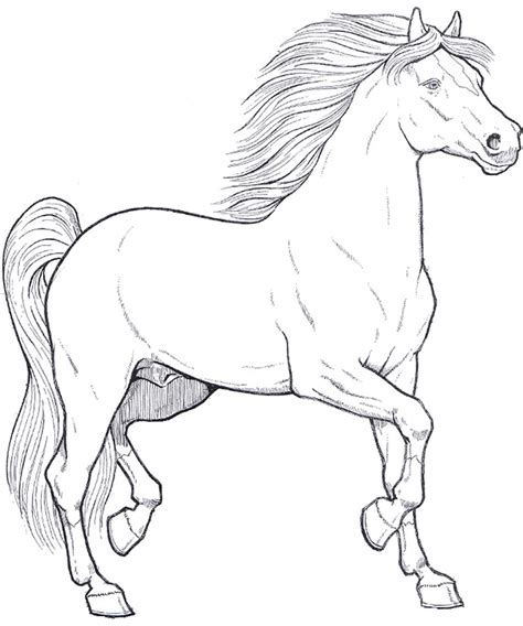 horses adult coloring pages