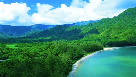 Tropical Hawaiian Beach With Blue Ocean Green Rainforest
