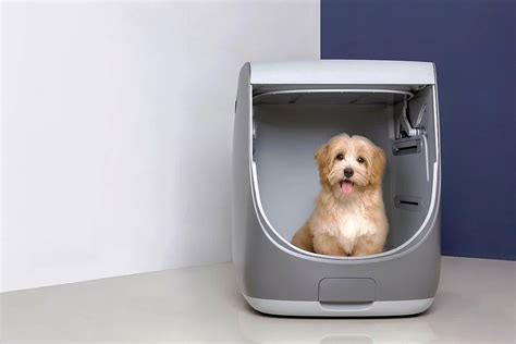 washing machine  dogs      idea shouts