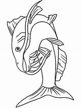 Catfish Freshwater Peces Colorear Wels Ausmalbild sketch template