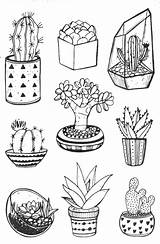 Cactus Kaktus Ausmalbilder Kakteen Kawaii Wonder sketch template