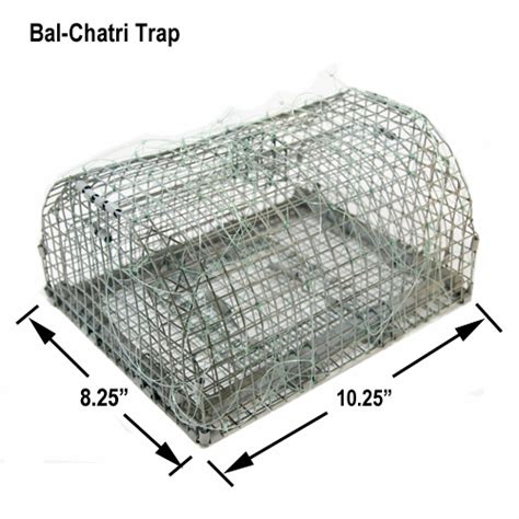 bal chatri noose trap standard wildlife control supplies product code wcs