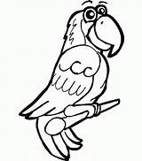 Parrot Papagal Colorat Papagei Desene Planse Papagali Desenat Macaw Parrots Ausmalbild Pasari Malvorlage Educative Designlooter Macaws Trafic sketch template