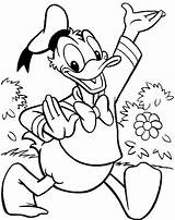 Donald Duck Coloring Pages Funny Happy Print Hilarious Activities Printables sketch template