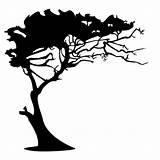 Tree African Africa Drawing Clipartmag Dlf Pt Transparent sketch template