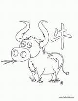 Coloring Ox Boeuf Chinese Zodiac Pages Coloriage Et Grenouille Drawing Dessin Hellokids Colorier Comments Getdrawings Print Color Books sketch template