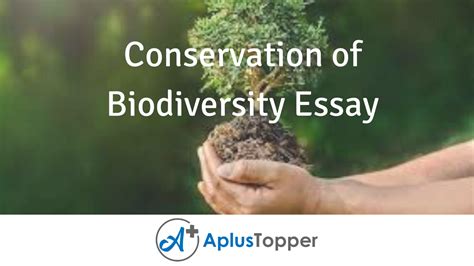 conservation  biodiversity essay  students  children  english