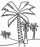 Tree Coloring Palm Pages Trees Coconut Date Drawing Outline Easy Sheet Kids Print Lot Beach Getdrawings Line Palms Clipartbest Ikids sketch template