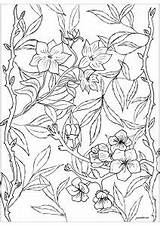 Vegetazione Adultos Adulti Fleurs Vegetation Flower Vegetacion Justcolor sketch template