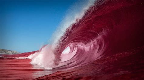democrats realize theyre  trouble  red wave builds iheartradio  rush limbaugh show