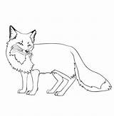 Fox Coloring Pages Printable Stone Terry Sheets Age Realistic Kids Procoloring Colorings Print Getdrawings Patterns Horse Getcolorings Baby Animal Face sketch template