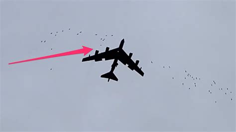 air force   bomber  toe  toe  flock  birds  video
