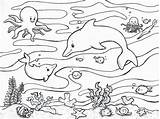 Coloring Life Pages Ocean Print sketch template