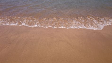 banco de imagens de praia mar costa agua oceano madeira