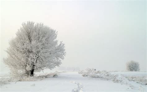 white nature landscape wallpaper hd  wallpaper high