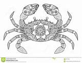 Crab Coloring Zentangle Adult Mandala Pages Book Drawn Hand Style Colouring Tattoo Stock Choose Board Sea Mandalas Vector Life Dreamstime sketch template