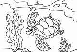 Turtle Coloring Pages Adults Sea Getcolorings Color Printable sketch template