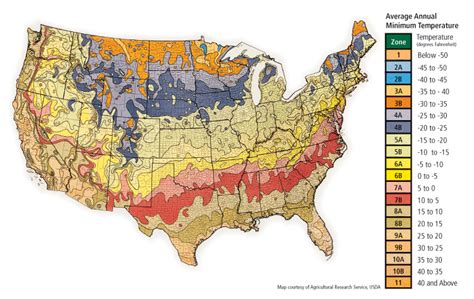 Hardiness Map And Planting Zones Advanced Tree Technology