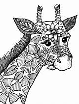 Coloring Giraffe Pages Adults Print sketch template
