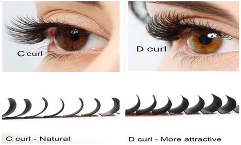 curl   curl eyelash   main difference