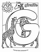 Alphabet Coloring4free Giraffes sketch template
