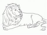 Lion Coloring Pages Printable Lions Template Drawing Animals Down Easy Print Cub Color Lying Animal Templates Draw Mouse Kids Nittany sketch template