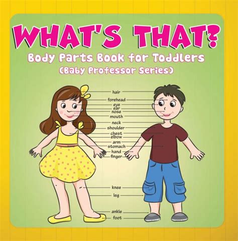 whats  body parts book  toddlers baby professor series