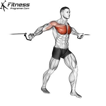 cable crossover workout plan builder
