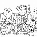 Pages Snoopy Charlie Thanksgiving Ausmalbilder Pumpkins Sheets Colorare Adult Ausdrucken 4kids sketch template