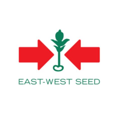 east west seed youtube