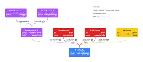 show llc company structure    chart template