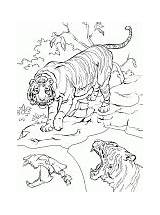 Tiger Coloring Cat sketch template