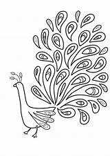 Peacock Coloring Feather Outline Pages Drawing Kids Printable Bird Colouring Template Birds Print Patterns Embroidery Adult Drawings Line Easy Printables sketch template