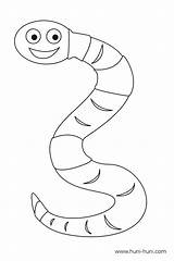 Earthworm Worm Template Pages Outline Coloring sketch template