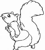 Squirrel Coloring Flying Cliparts Attribution Forget Link Don Library Clipart Line sketch template