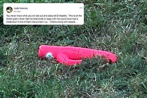 Residents Anger After Giant Pink Sex Toy Is Found In Middle Of Park